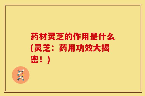 药材灵芝的作用是什么(灵芝:药用功效大揭密!)