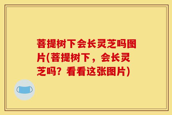 菩提树下会长灵芝吗图片(菩提树下,会长灵芝吗?看看这张图片)