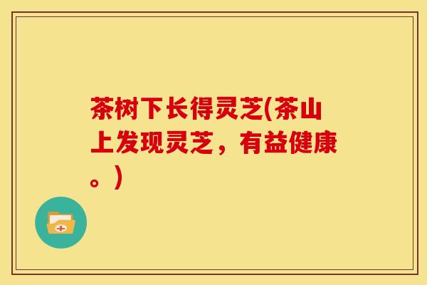 茶树下长得灵芝(茶山上发现灵芝,有益健康。)