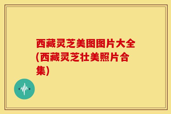 西藏灵芝美图图片大全(西藏灵芝壮美照片合集)