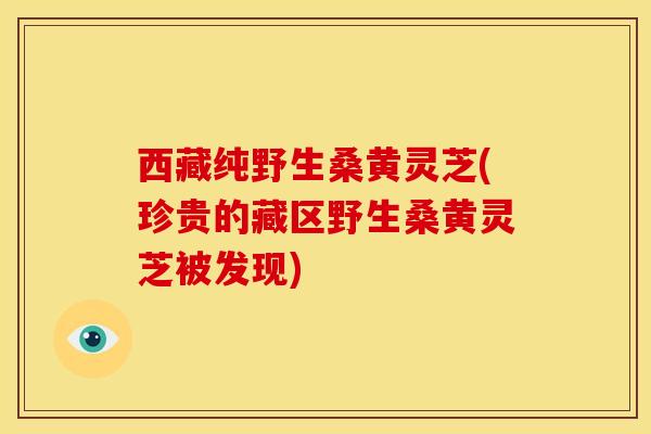 西藏纯野生桑黄灵芝(珍贵的藏区野生桑黄灵芝被发现)