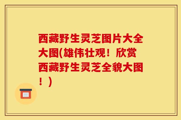 西藏野生灵芝图片大全大图(雄伟壮观！欣赏西藏野生灵芝全貌大图！)