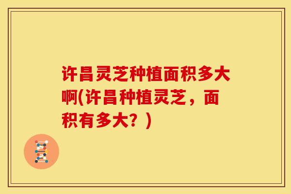许昌灵芝种植面积多大啊(许昌种植灵芝,面积有多大?)