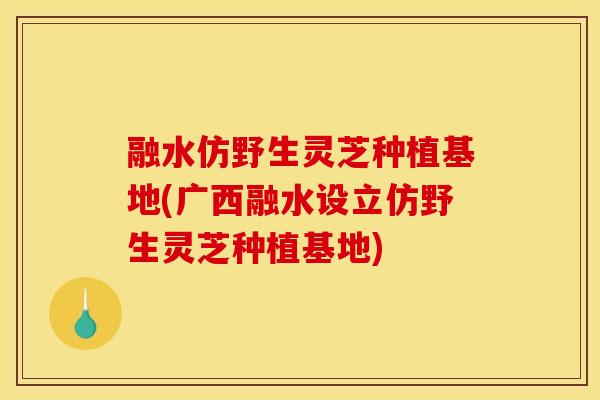 融水仿野生灵芝种植基地(广西融水设立仿野生灵芝种植基地)