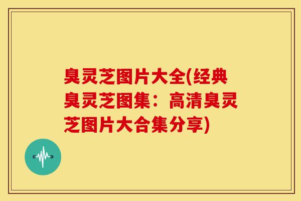 臭灵芝图片大全(经典臭灵芝图集:高清臭灵芝图片大合集分享)