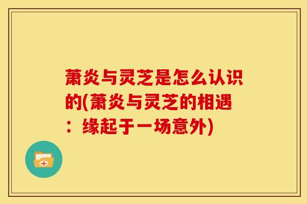 萧炎与灵芝是怎么认识的(萧炎与灵芝的相遇:缘起于一场意外)