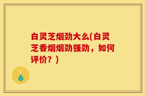 白灵芝烟劲大么(白灵芝香烟烟劲强劲，如何评价？)