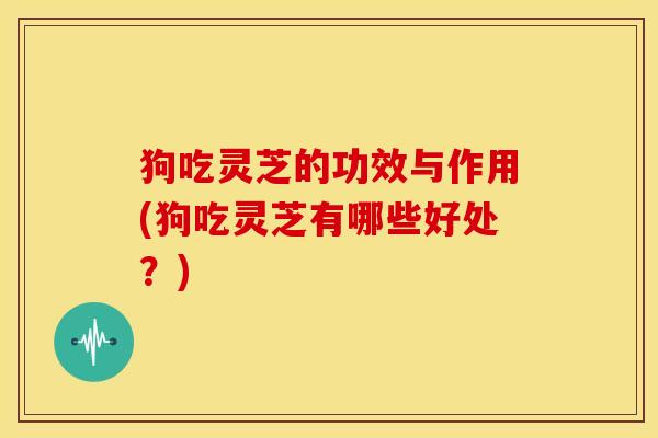 狗吃灵芝的功效与作用(狗吃灵芝有哪些好处?)