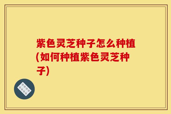 紫色灵芝种子怎么种植(如何种植紫色灵芝种子)