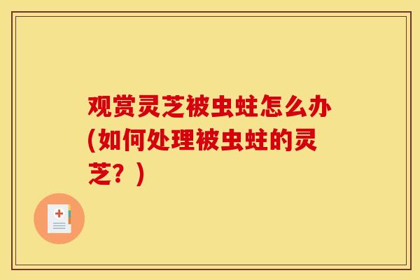 观赏灵芝被虫蛀怎么办(如何处理被虫蛀的灵芝?)