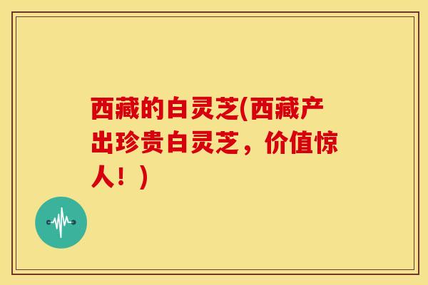 西藏的白灵芝(西藏产出珍贵白灵芝,价值惊人!)