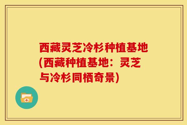 西藏灵芝冷杉种植基地(西藏种植基地:灵芝与冷杉同栖奇景)
