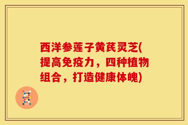 西洋参莲子黄芪灵芝(提高免疫力，四种植物组合，打造健康体魄)