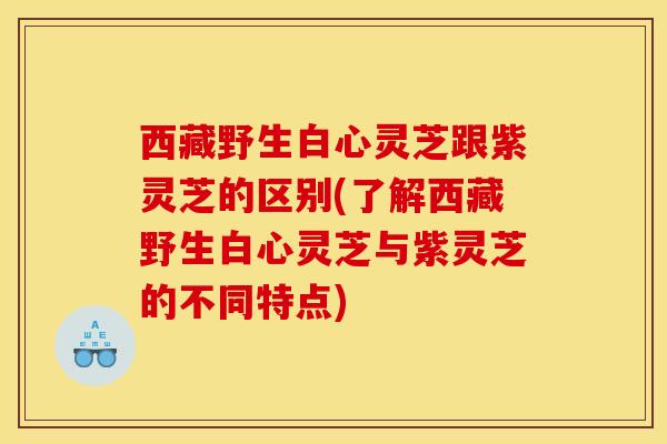 西藏野生白心灵芝跟紫灵芝的区别(了解西藏野生白心灵芝与紫灵芝的不同特点)
