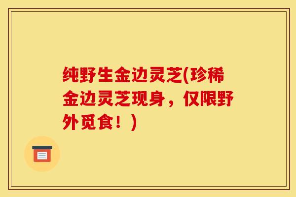 纯野生金边灵芝(珍稀金边灵芝现身,仅限野外觅食!)