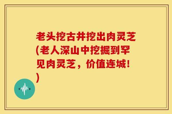 老头挖古井挖出肉灵芝(老人深山中挖掘到罕见肉灵芝,价值连城!)