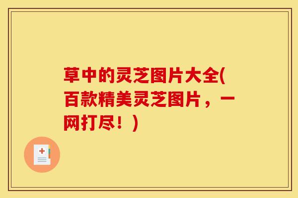 草中的灵芝图片大全(百款精美灵芝图片，一网打尽！)