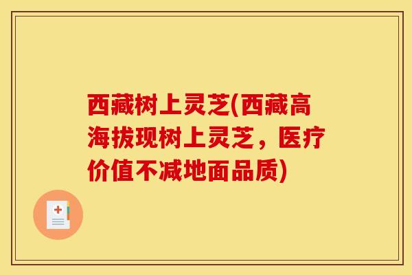 西藏树上灵芝(西藏高海拔现树上灵芝，医疗价值不减地面品质)