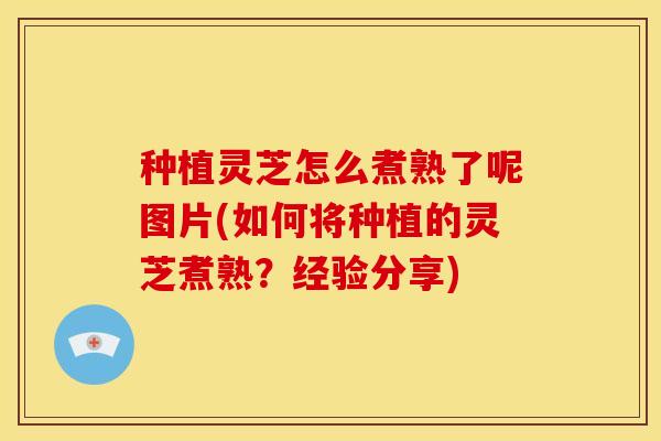种植灵芝怎么煮熟了呢图片(如何将种植的灵芝煮熟?经验分享)