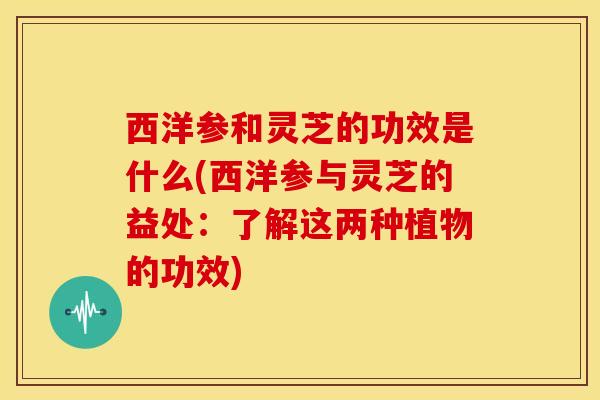 西洋参和灵芝的功效是什么(西洋参与灵芝的益处:了解这两种植物的功效)