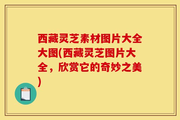 西藏灵芝素材图片大全大图(西藏灵芝图片大全,欣赏它的奇妙之美)