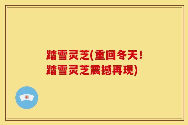 踏雪灵芝(重回冬天！踏雪灵芝震撼再现)