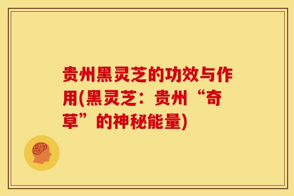 贵州黑灵芝的功效与作用(黑灵芝:贵州“奇草”的神秘能量)
