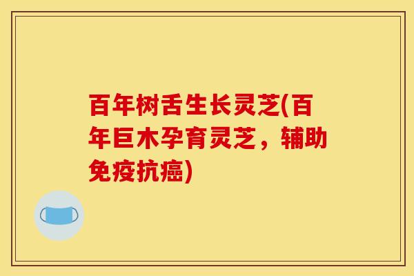 百年树舌生长灵芝(百年巨木孕育灵芝,辅助免疫抗癌)