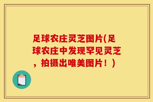 足球农庄灵芝图片(足球农庄中发现罕见灵芝，拍摄出唯美图片！)