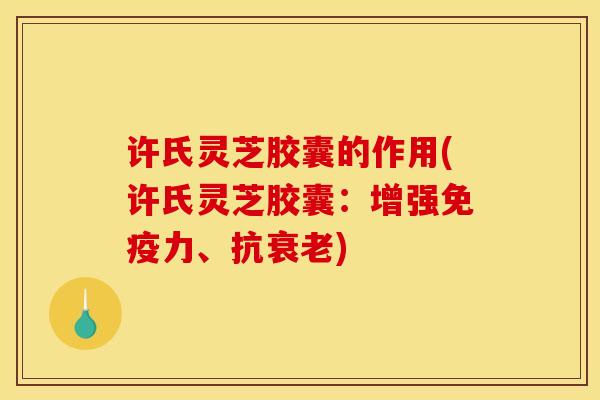 许氏灵芝胶囊的作用(许氏灵芝胶囊:增强免疫力、抗衰老)