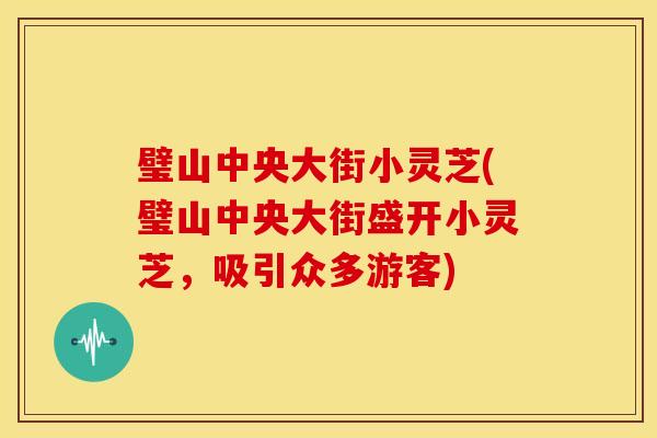 璧山中央大街小灵芝(璧山中央大街盛开小灵芝,吸引众多游客)