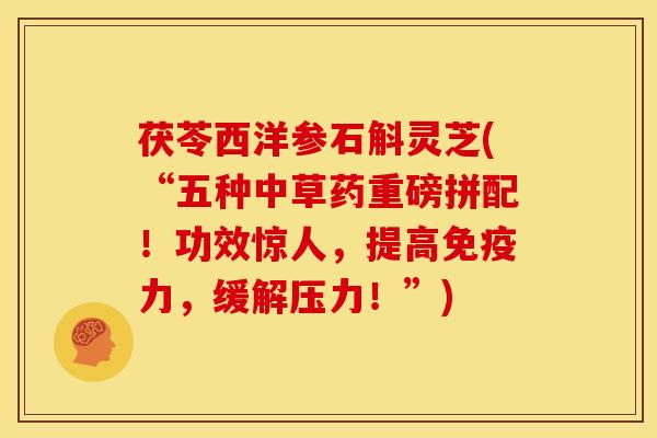 茯苓西洋参石斛灵芝(“五种中草药重磅拼配!功效惊人,提高免疫力,缓解压力!”)