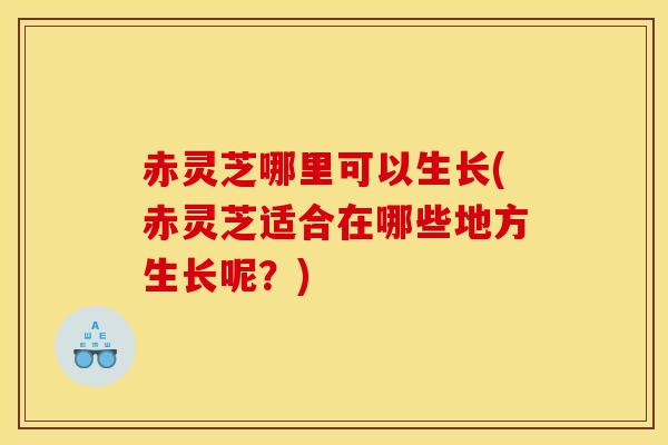 赤灵芝哪里可以生长(赤灵芝适合在哪些地方生长呢？)
