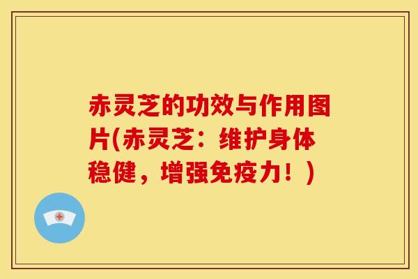 赤灵芝的功效与作用图片(赤灵芝：维护身体稳健，增强免疫力！)