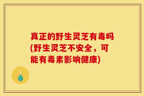 真正的野生灵芝有毒吗(野生灵芝不安全,可能有毒素影响健康)