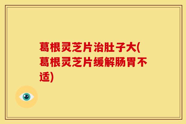 葛根灵芝片治肚子大(葛根灵芝片缓解肠胃不适)