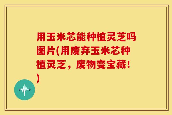 用玉米芯能种植灵芝吗图片(用废弃玉米芯种植灵芝，废物变宝藏！)