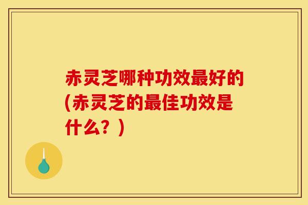 赤灵芝哪种功效最好的(赤灵芝的最佳功效是什么?)