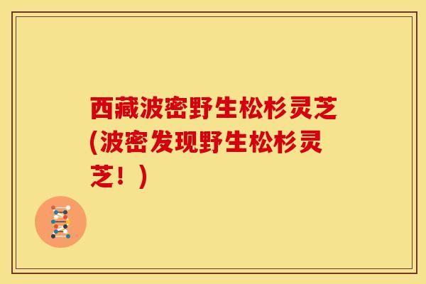 西藏波密野生松杉灵芝(波密发现野生松杉灵芝！)