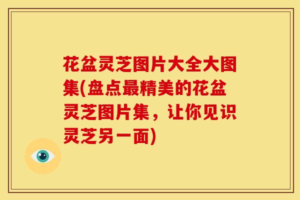 花盆灵芝图片大全大图集(盘点最精美的花盆灵芝图片集,让你见识灵芝另一面)