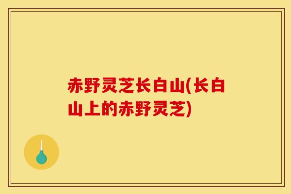赤野灵芝长白山(长白山上的赤野灵芝)