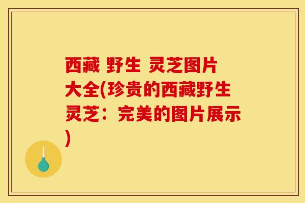 西藏 野生 灵芝图片大全(珍贵的西藏野生灵芝：完美的图片展示)