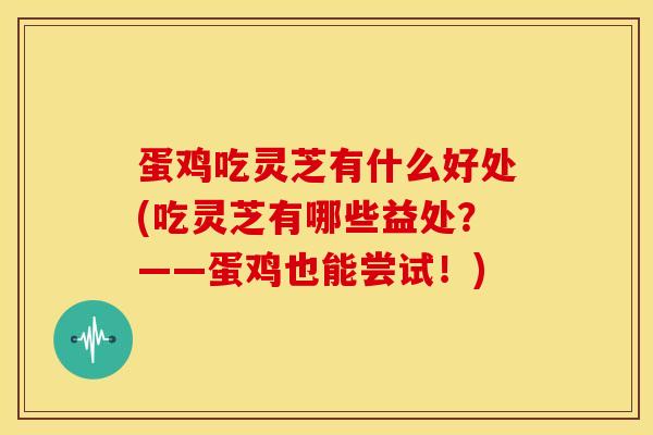 蛋鸡吃灵芝有什么好处(吃灵芝有哪些益处?——蛋鸡也能尝试!)