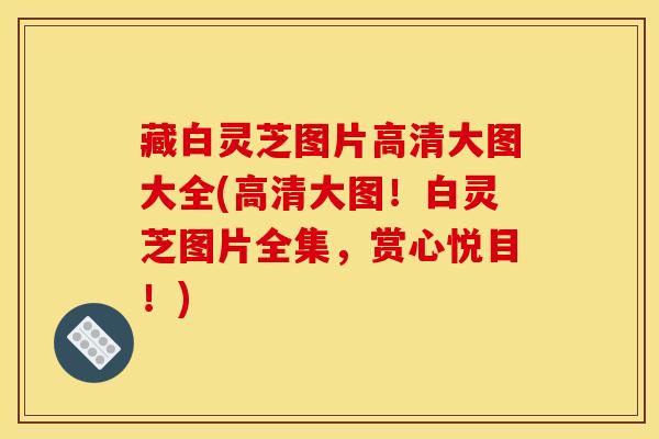 藏白灵芝图片高清大图大全(高清大图!白灵芝图片全集,赏心悦目!)