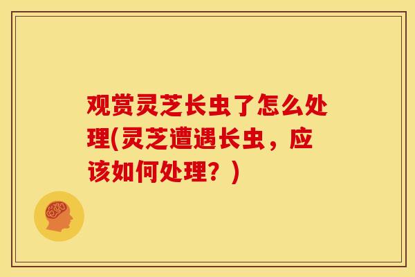 观赏灵芝长虫了怎么处理(灵芝遭遇长虫,应该如何处理?)