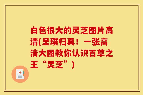 白色很大的灵芝图片高清(呈璞归真!一张高清大图教你认识百草之王“灵芝”)