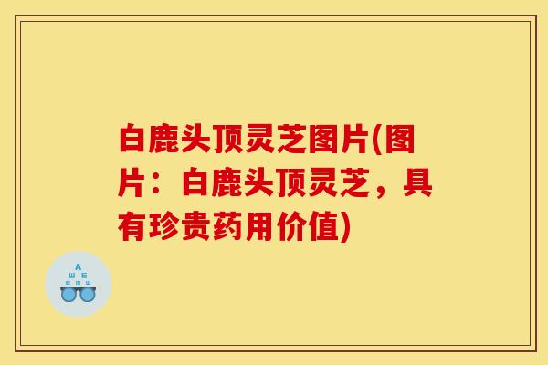 白鹿头顶灵芝图片(图片：白鹿头顶灵芝，具有珍贵药用价值)