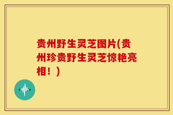 贵州野生灵芝图片(贵州珍贵野生灵芝惊艳亮相！)