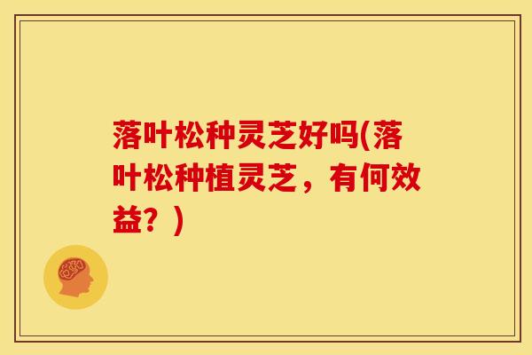 落叶松种灵芝好吗(落叶松种植灵芝,有何效益?)