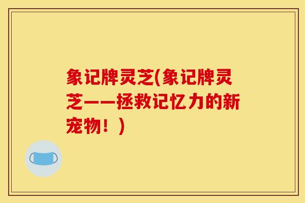 象记牌灵芝(象记牌灵芝——拯救记忆力的新宠物!)